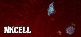 自然杀伤细胞（NKCell）